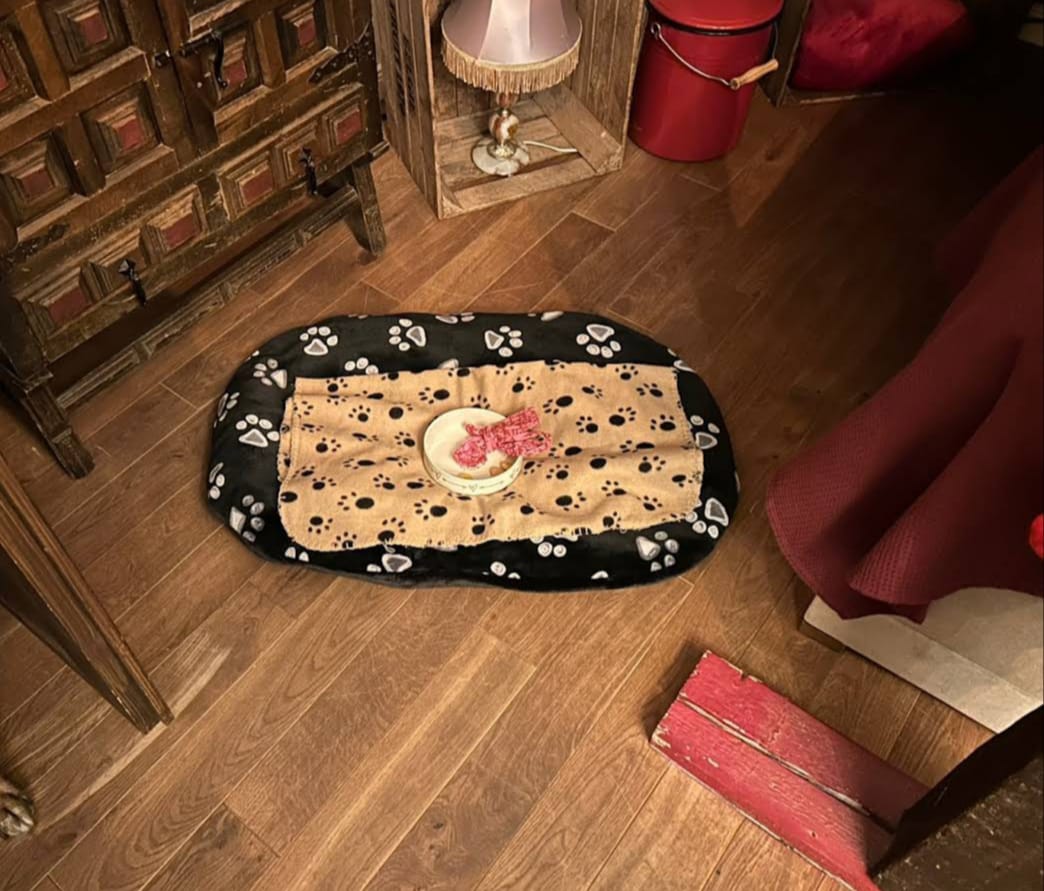 WhatsApp Image 2025-11-22 at 08.16.03